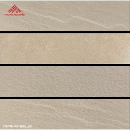 Gạch Ốp Tường VIETNHAT-BSE_03