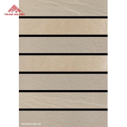 Gạch Ốp Tường VIETNHAT-BGE_03