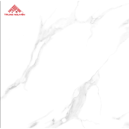 Gạch Porcelain 05711 (60x60)