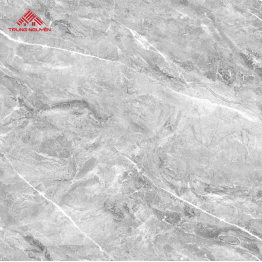 Gạch Porcelain 05715 (60x60)