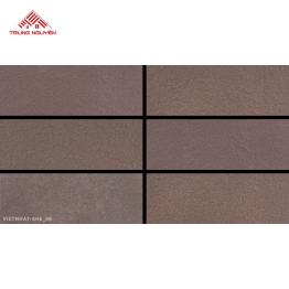 Gạch Ốp Tường VIETNHAT-SHE_06