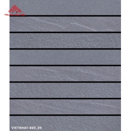 Gạch Ốp Tường VIETNHAT-BDE-09-1