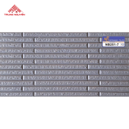Gạch Sugar 25x50 Đặc Biệt: NB251-7