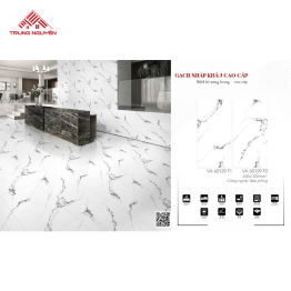 Gạch Nhập Khẩu 60x120: VA_60129_F1 & F2