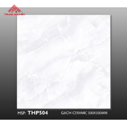 Gạch Men 50x50: THP504