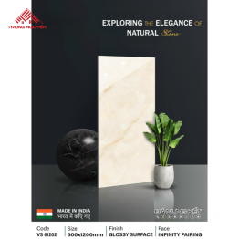 Gạch Đá 60x120: VS61202