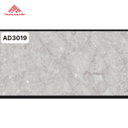 Gạch 60x120 Ấn Độ: AD3019