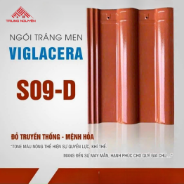 Ngói Tráng Men S09-D