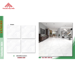 Gạch Men 60x60: THP6805