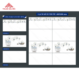 Gạch Đá: THP48601, THP48601V, THP48601D