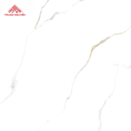 Gạch Đá 60x60: THP6906