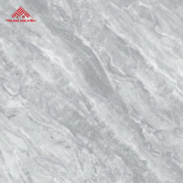 Gạch Porcelain 26901 (60x60)