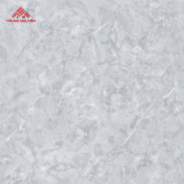 Gạch Porcelain 26902 (60x60)