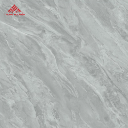 Gạch Porcelain FPH 6001 (60x60)