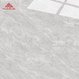 Gạch Porcelain FPU6002 (60x60)