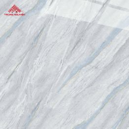 Gạch Porcelain FPU6006 (60x60)