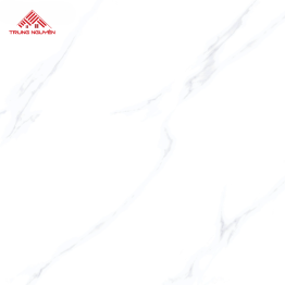 Gạch Đá 60x60: THP6905