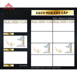 Gạch 30x60 Men: THP36500- THP36506D- THP36506V