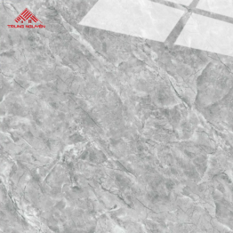 Gạch Porcelain FPU6007 (60x60)