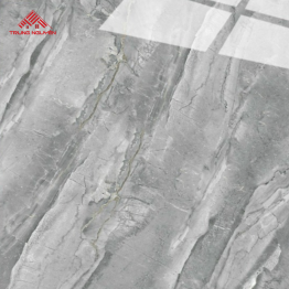 Gạch Porcelain FPU6016 (60x60)