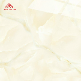 Gạch Porcelain FPU6009 (60x60)