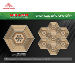 Gạch Lục Giác 43x50: MKG43503