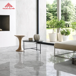 Gạch Porcelain 26103 (60x60)