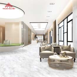 Gạch Porcelain 26006 (60x60)