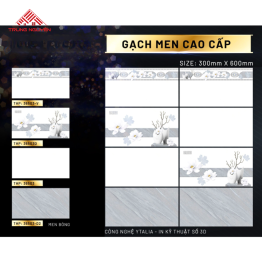 Gạch 30x60 Men: THP36503TN- THP36502D- THP36502V- THP36503TĐ