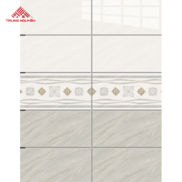 Gạch Porcelain CV4904_A_D_B (40x80)