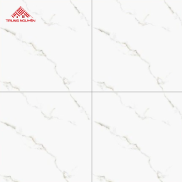 Gạch Porcelain CV8911 (80x80)