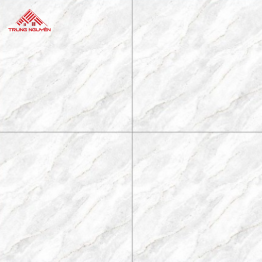 Gạch Porcelain CV8913 (80x80)