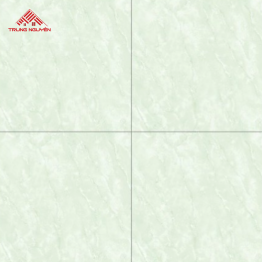 Gạch Porcelain CV8916 (80x80)