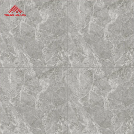 Gạch Porcelain CV8917 (80x80)