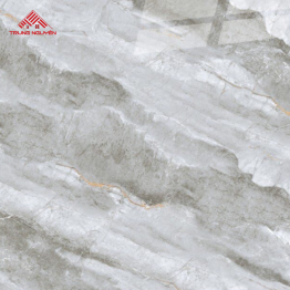 Gạch Porcelain OM8911 (60x60)