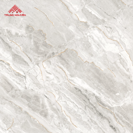 Gạch Đá 60x60: THP6907