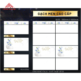 Gạch 30x60 Men: THP36501- THP36501D- THP36501V