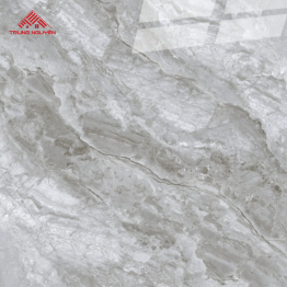 Gạch Porcelain OM8902 (60x60)