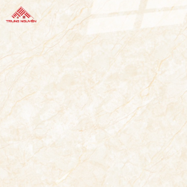 Gạch Porcelain OM8901 (60x60)