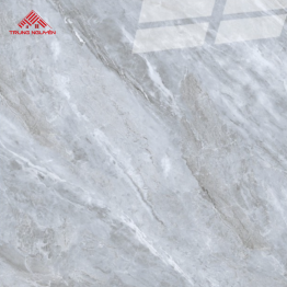 Gạch Porcelain OM8903 (80x80)