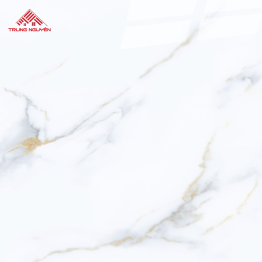 Gạch Porcelain OM8906 (80x80)