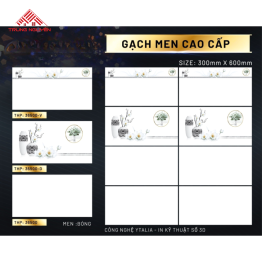 Gạch 30x60 Men: THP36500- THP36500D- THP36500V