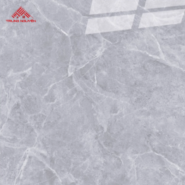 Gạch Porcelain OM8908 (60x60)
