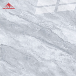 Gạch Porcelain OM8907 (80x80)