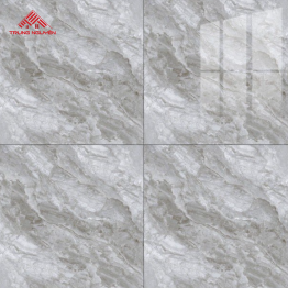 Gạch Porcelain OM6902 (60x60)
