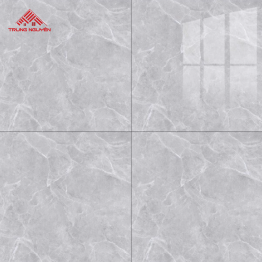Gạch Porcelain OM6908 (60x60)