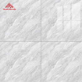 Gạch Porcelain OM6907 (60x60)