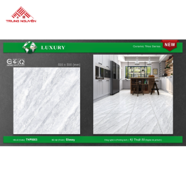 Gạch 50x50 MEN: THP5003