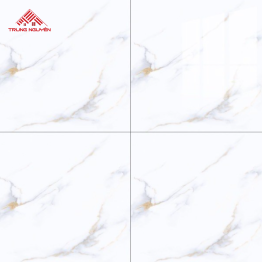 Gạch Porcelain OM6906 (60x60)