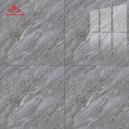 Gạch Porcelain OM6905 (60x60)